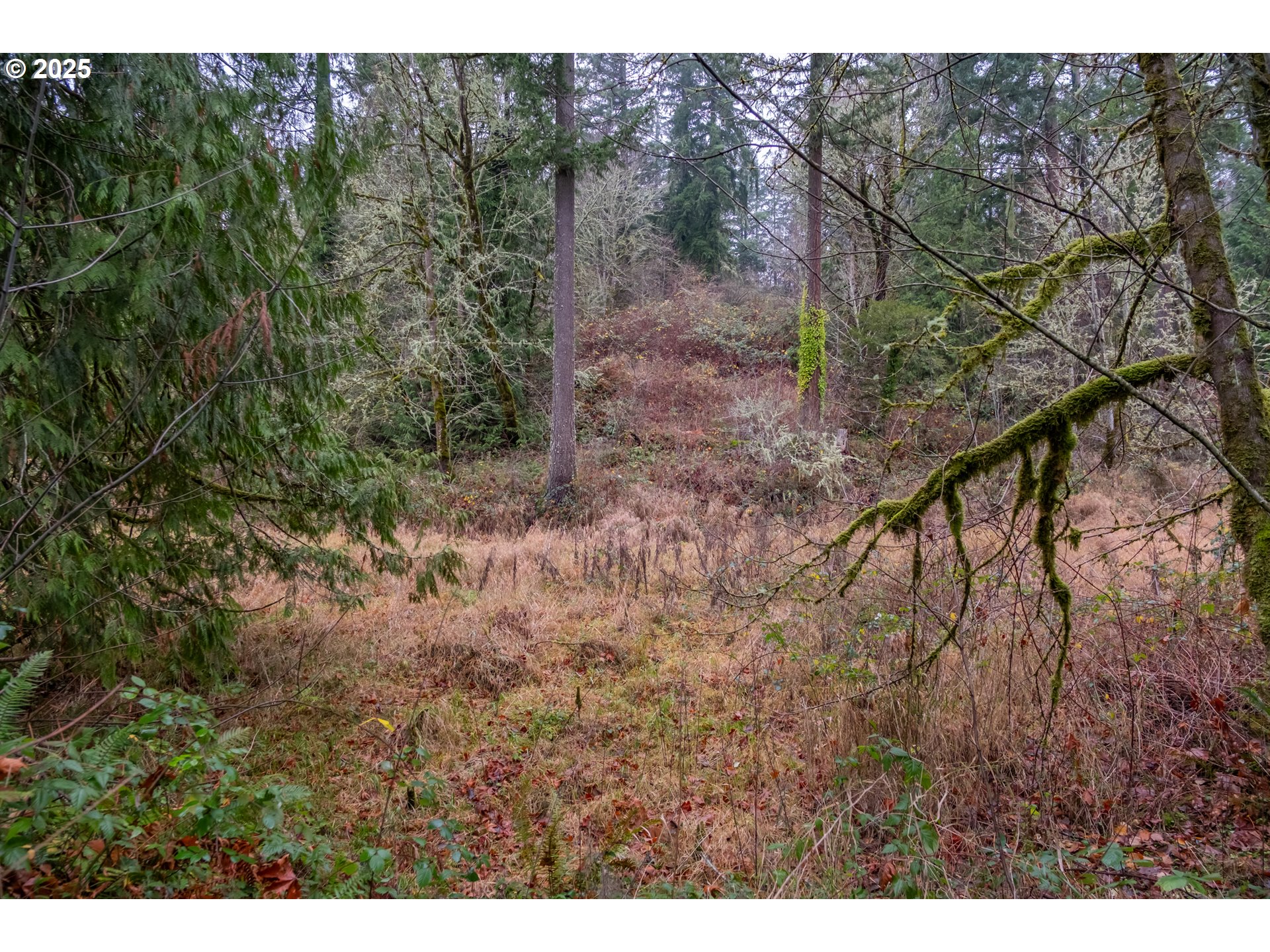 38353 Southwest Laurelwood Road Gaston, OR 97119 - Photo 1 of 17 a view of a yard