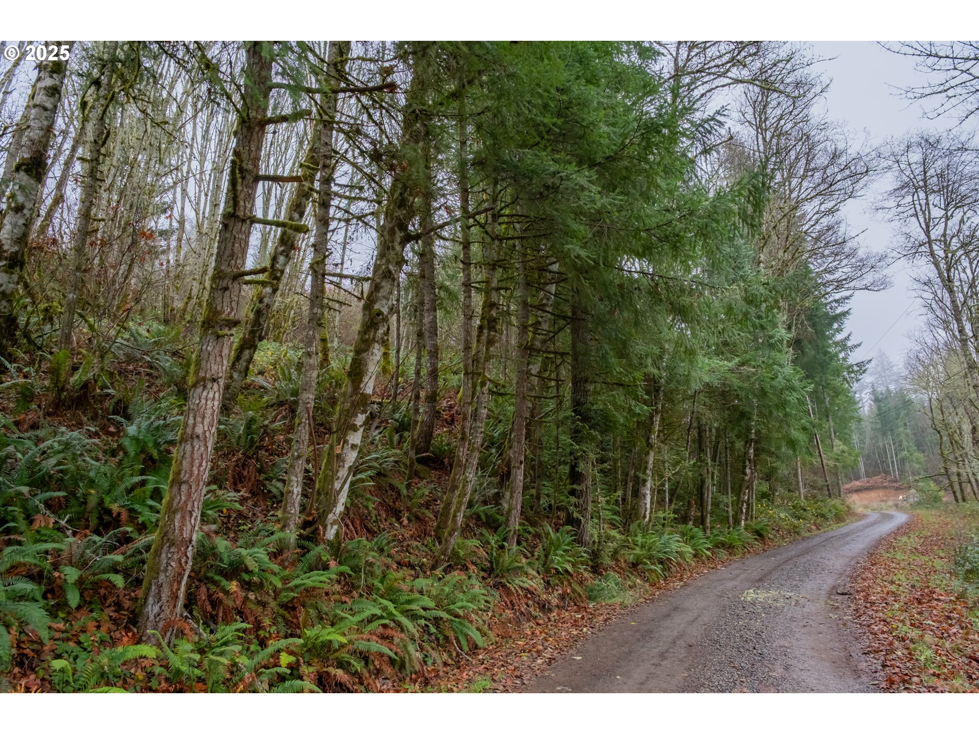 38353 Southwest Laurelwood Road Gaston, OR 97119 - Photo 12 of 17 a view of outdoor space and trees