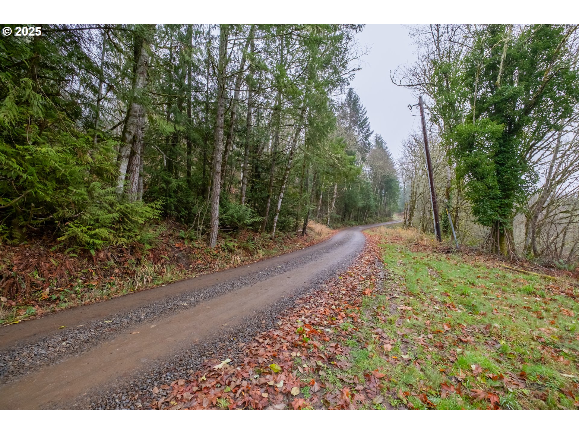 38353 Southwest Laurelwood Road Gaston, OR 97119 - Photo 2 of 17 a backyard of a house with lots of green space