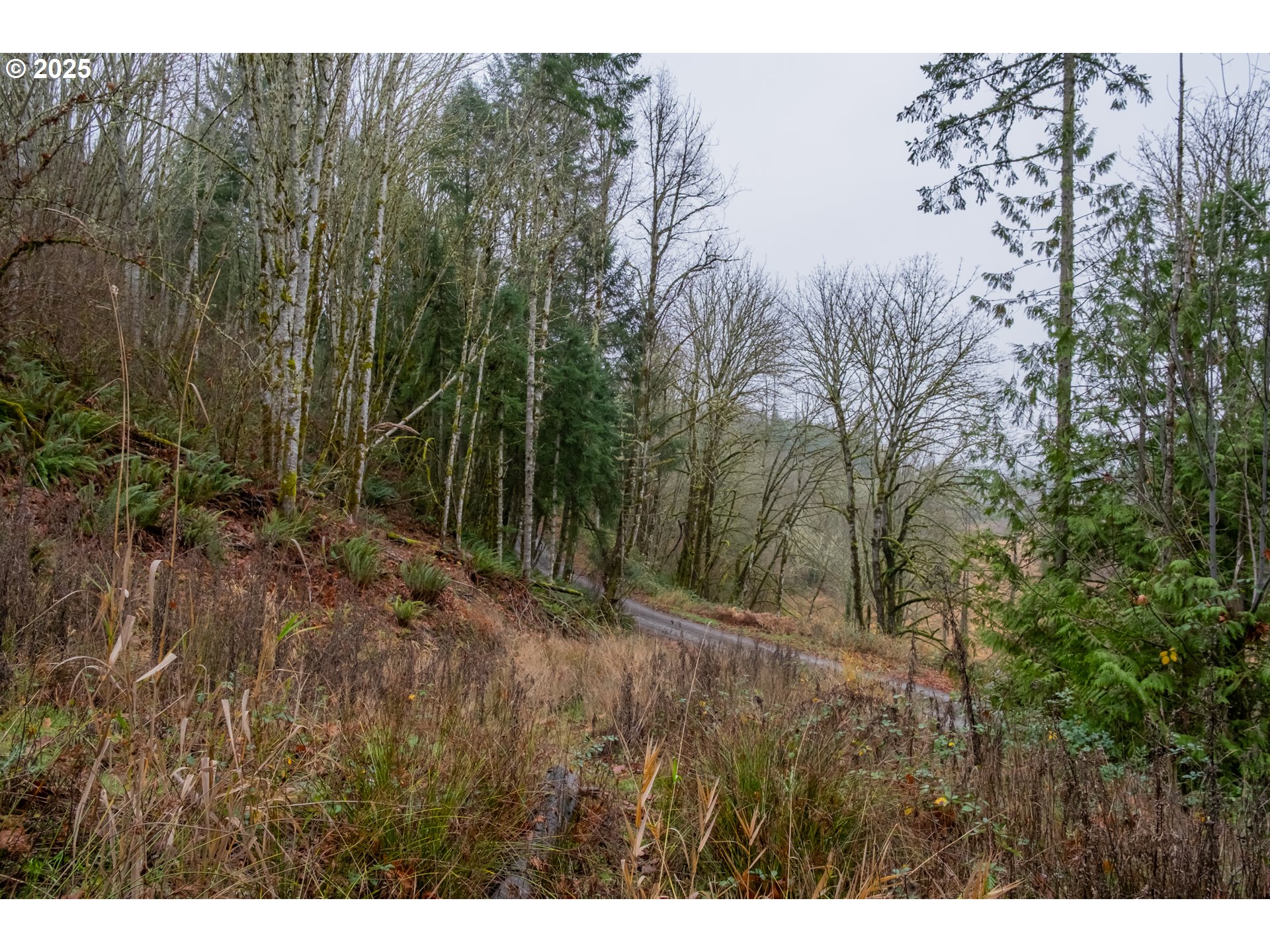 38353 Southwest Laurelwood Road Gaston, OR 97119 - Photo 5 of 17 a view of a yard with trees in front of it