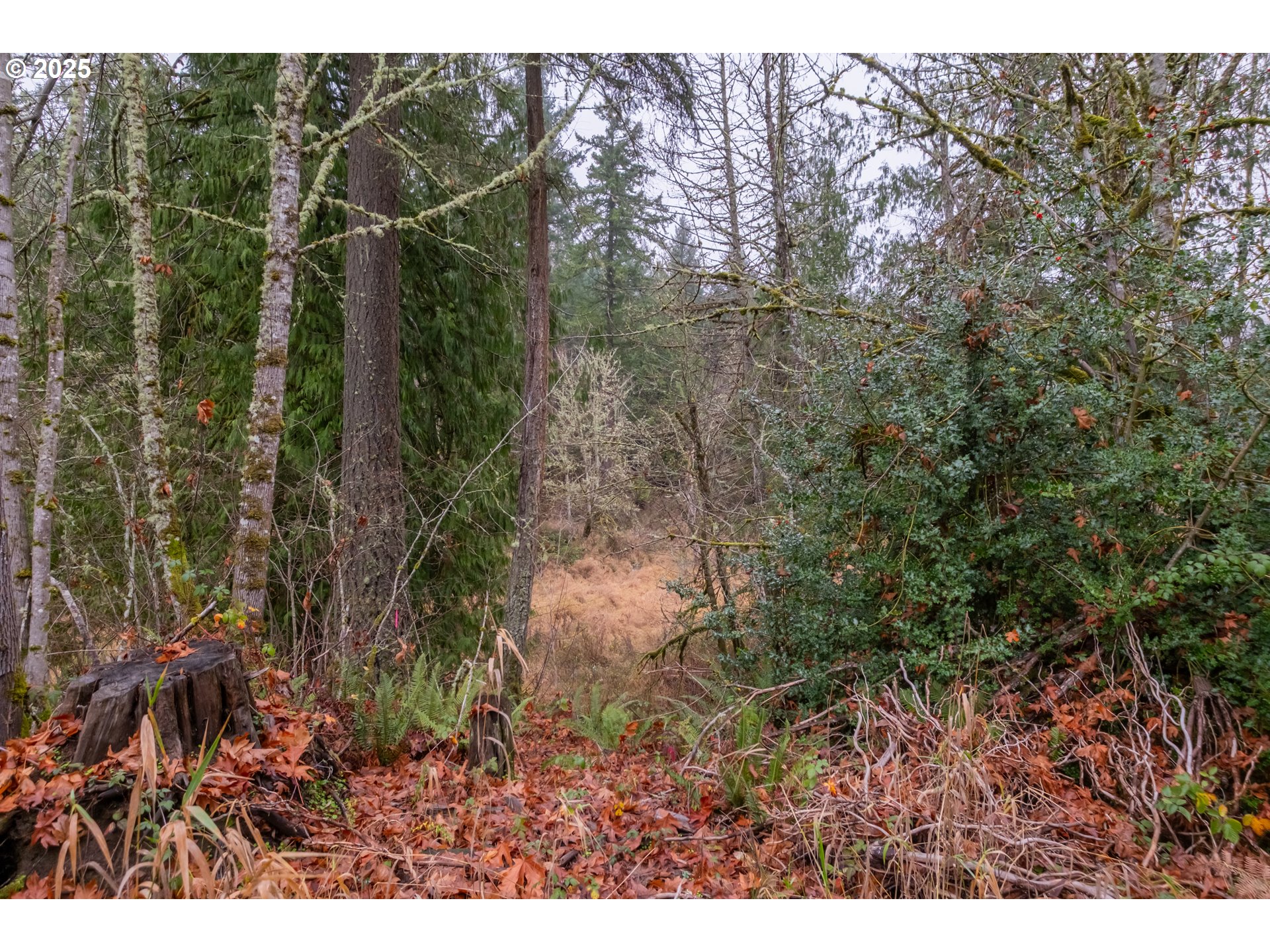 38353 Southwest Laurelwood Road Gaston, OR 97119 - Photo 6 of 17 a view of a yard