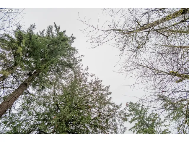 a view of outdoor space with wooden floor