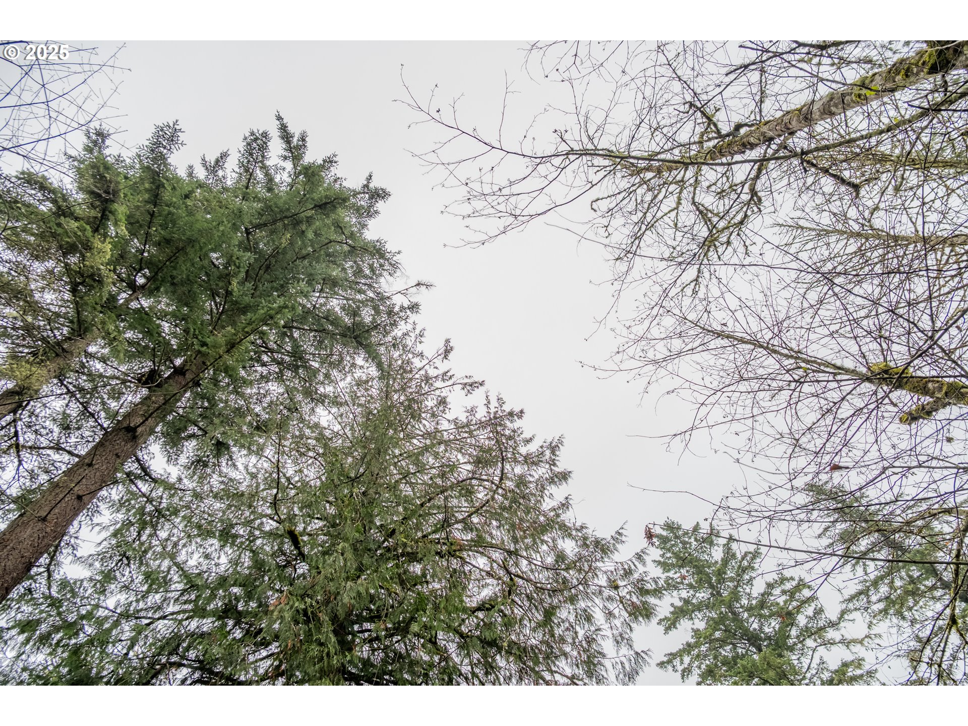 38353 Southwest Laurelwood Road Gaston, OR 97119 - Photo 7 of 17