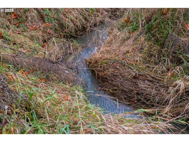 a view of a plant with a plant