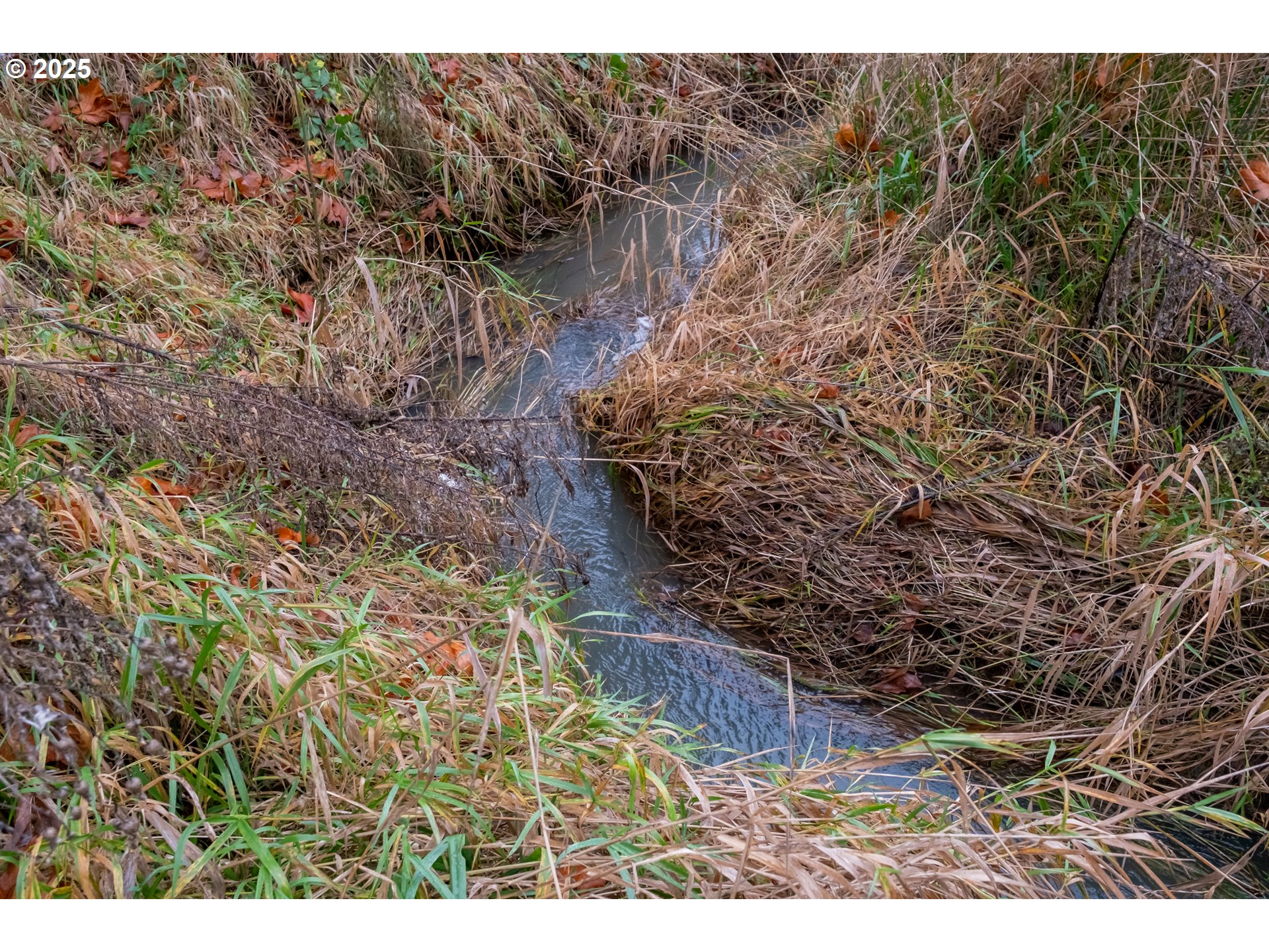 38353 Southwest Laurelwood Road Gaston, OR 97119 - Photo 8 of 17