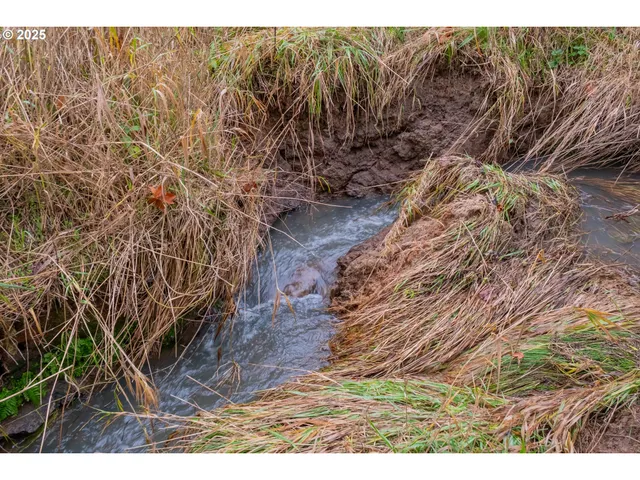 a view of backyard with green space