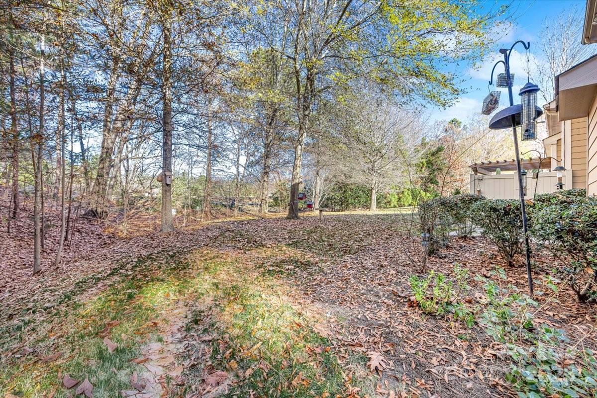 718 Deerbrook Lane Tega Cay, SC 29708 - Photo 42 of 45 a view of backyard with green space