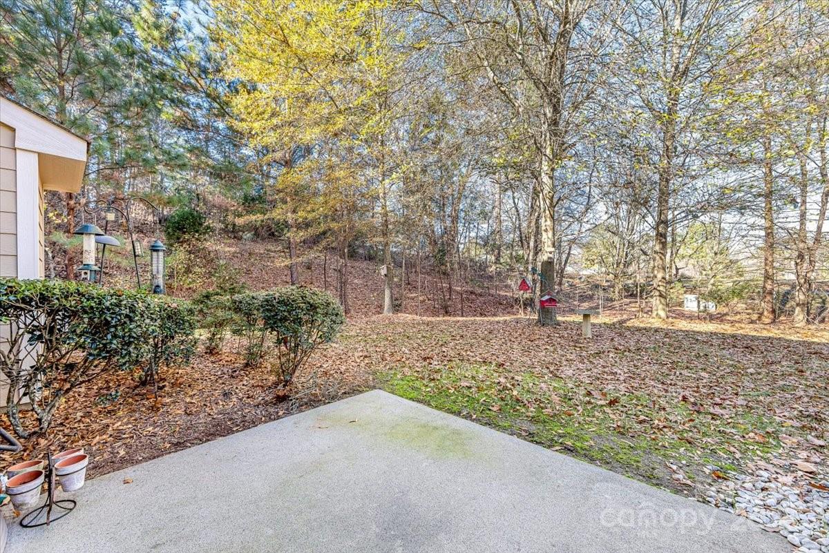 718 Deerbrook Lane Tega Cay, SC 29708 - Photo 44 of 45 a view of a yard with plants and trees