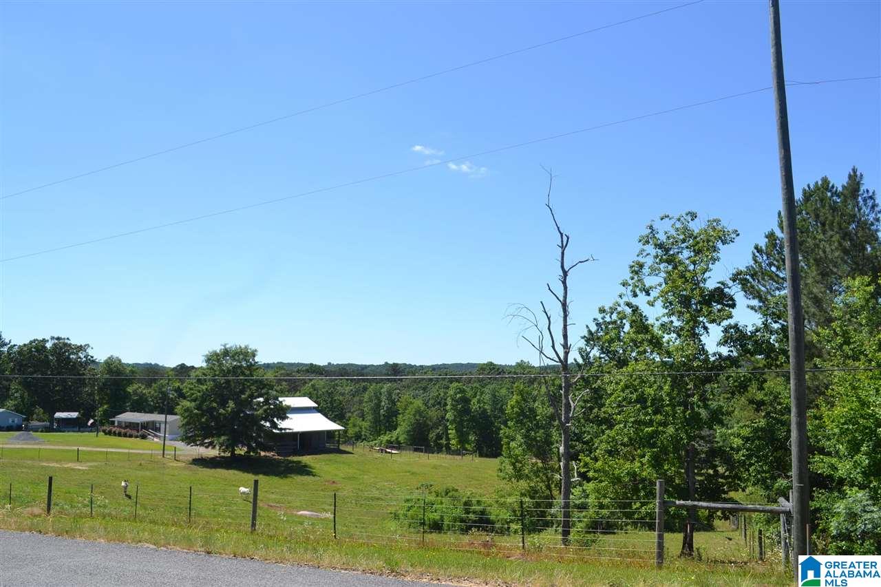 300 Williamsburg Road Altoona, AL 35952 - Photo 33 of 38