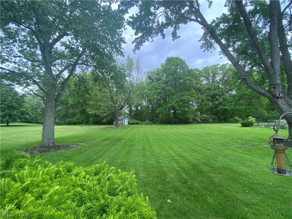 7975 Dalebrook Road Independence, OH 44131 - Photo 12 of 34 Huge yard that butts up to the ravine