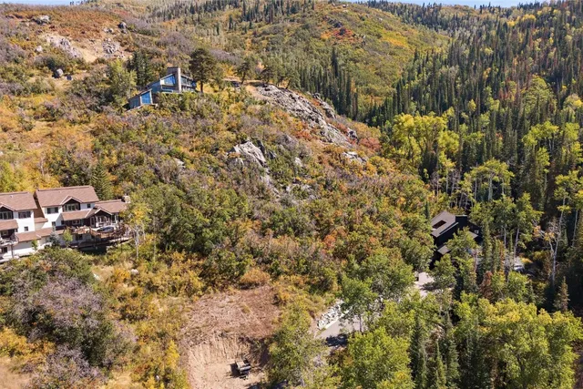 a view of a forest with mountains in the background
