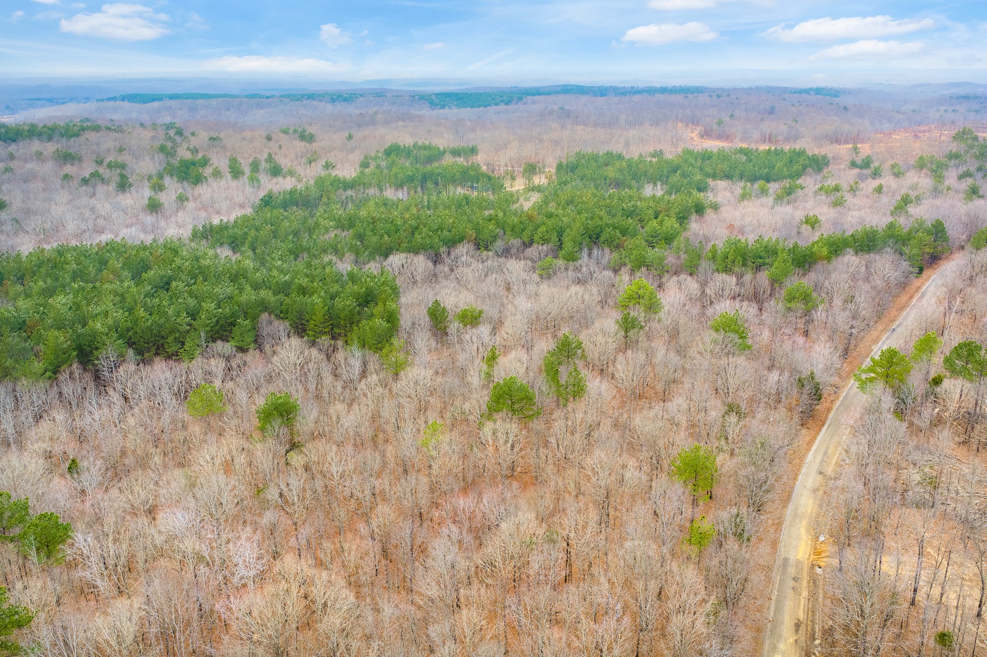0 Coxburg Road South Holladay, TN 38341 - Photo 11 of 16 a view of lake with mountain