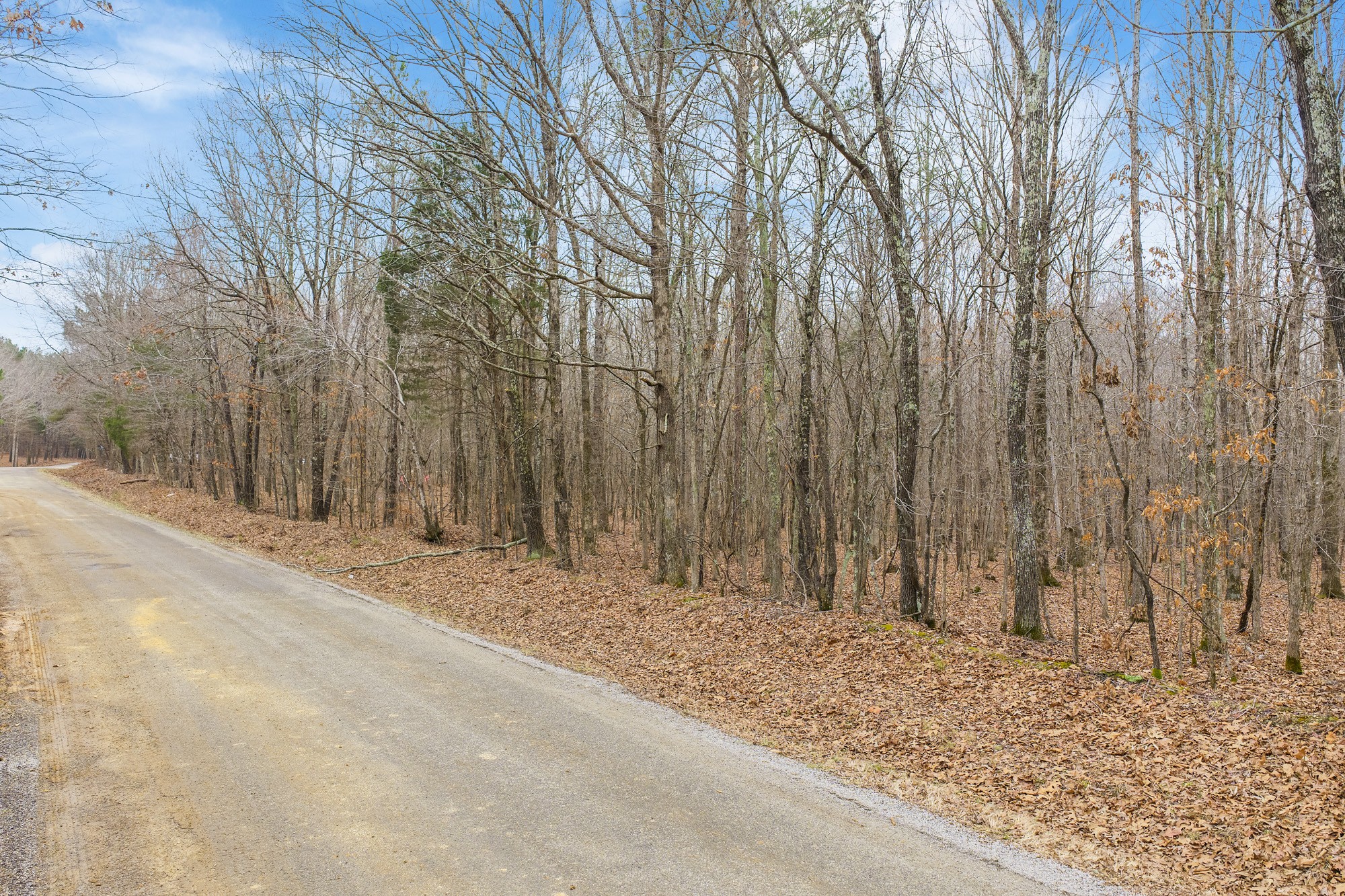 0 Coxburg Road South Holladay, TN 38341 - Photo 13 of 16 a view of a backyard of the house
