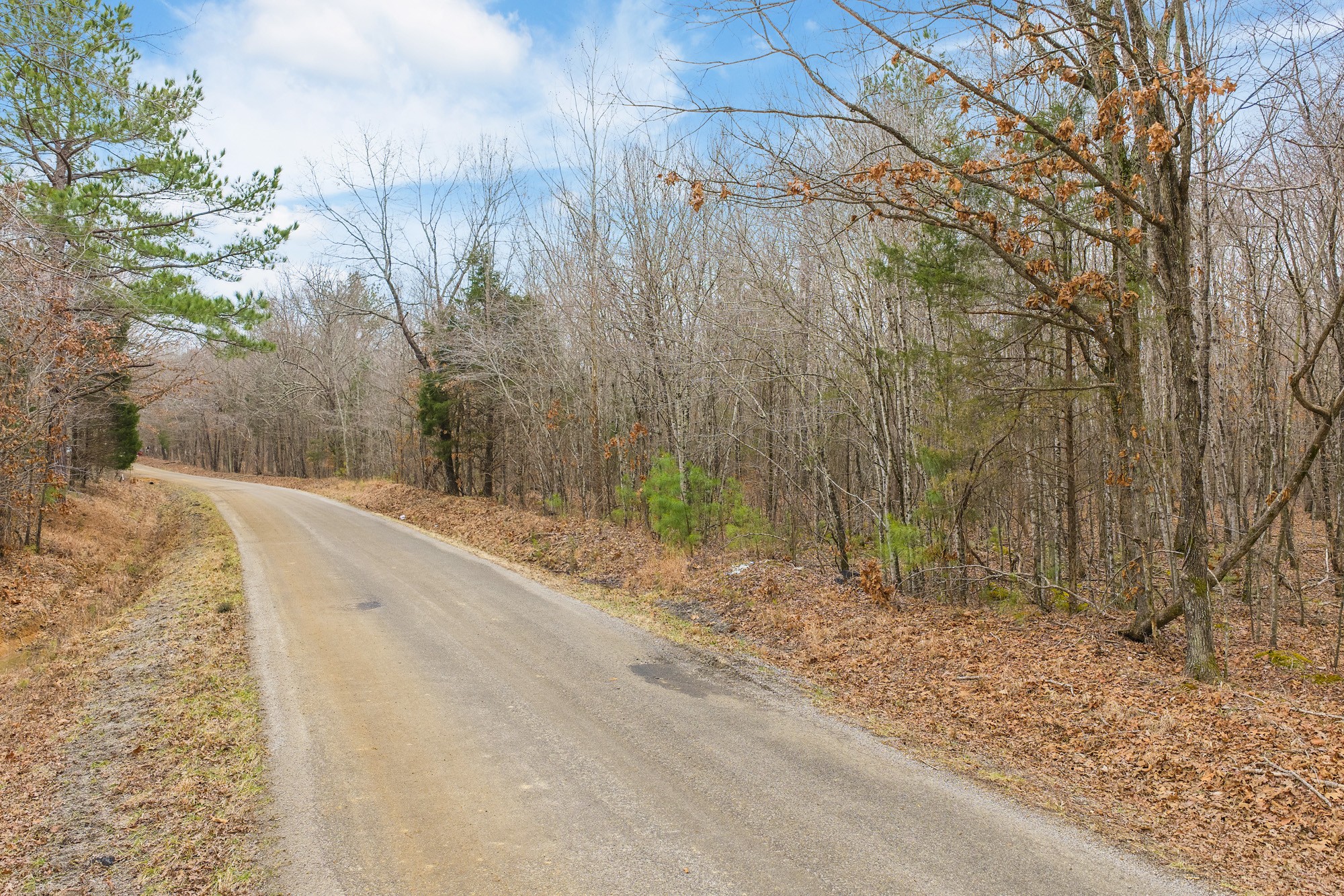 0 Coxburg Road South Holladay, TN 38341 - Photo 14 of 16 a view of a backyard of the house