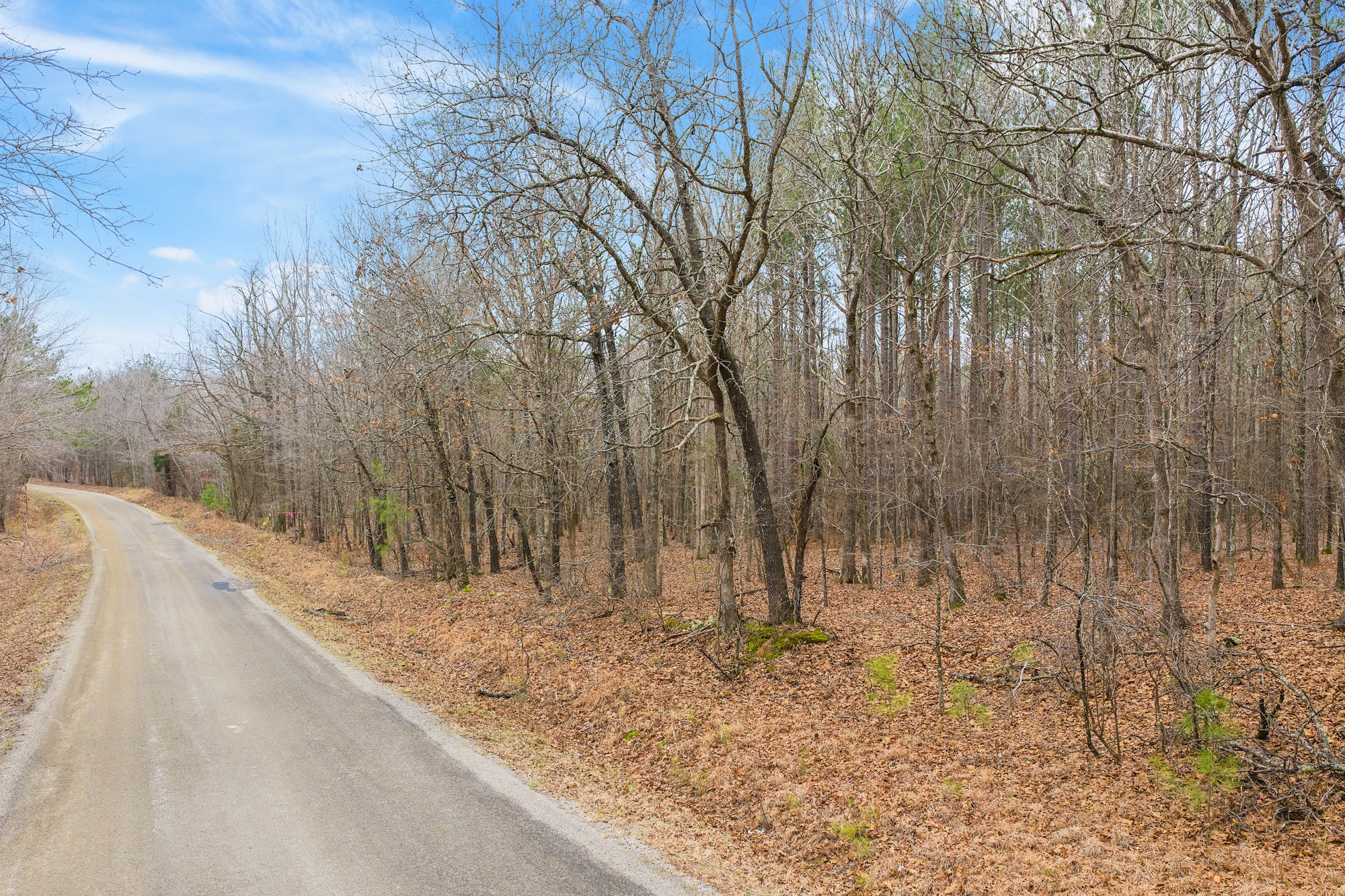 0 Coxburg Road South Holladay, TN 38341 - Photo 15 of 16 a view of a backyard of the house