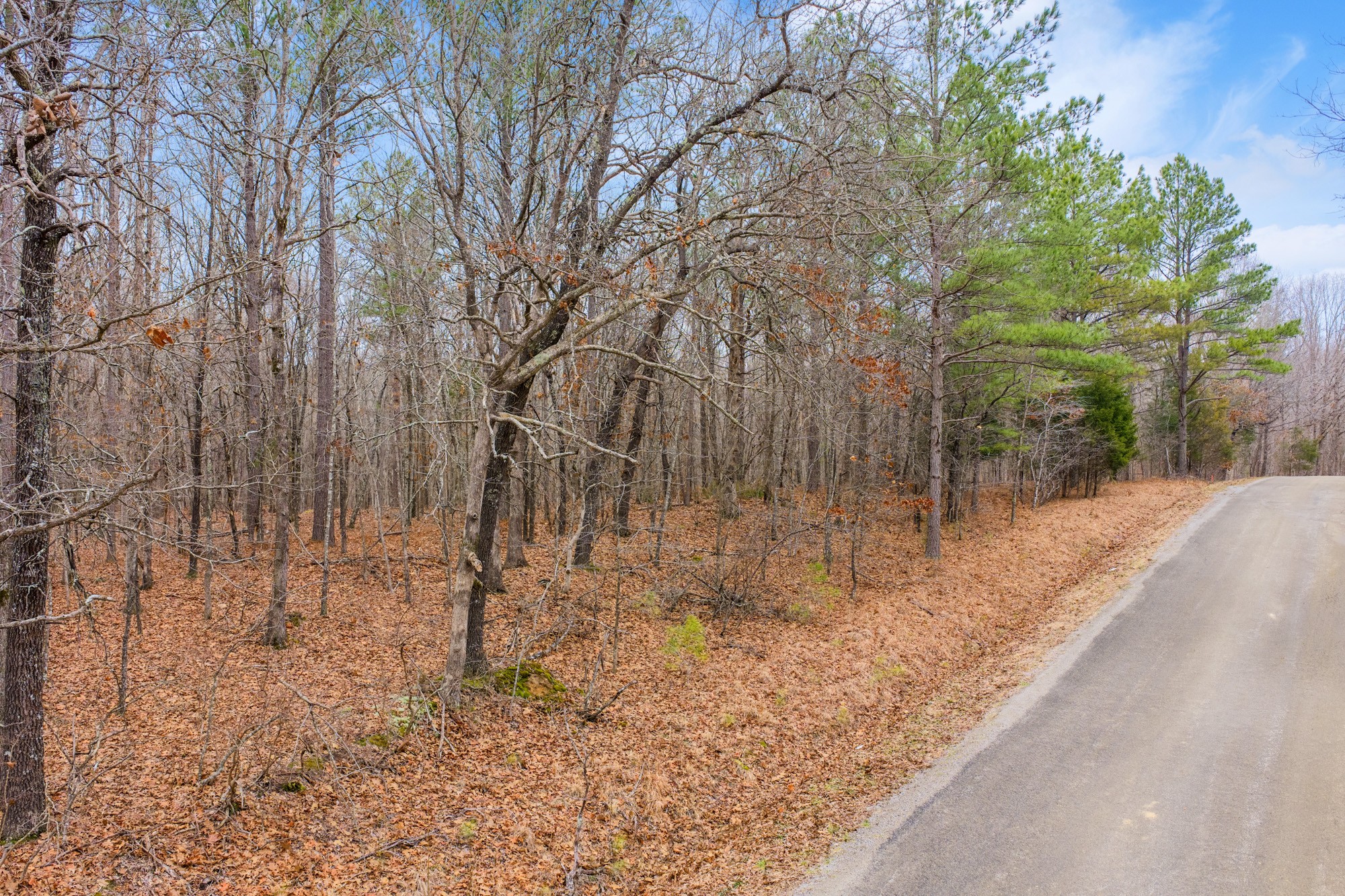 0 Coxburg Road South Holladay, TN 38341 - Photo 4 of 16 a backyard of a house with lots of green space