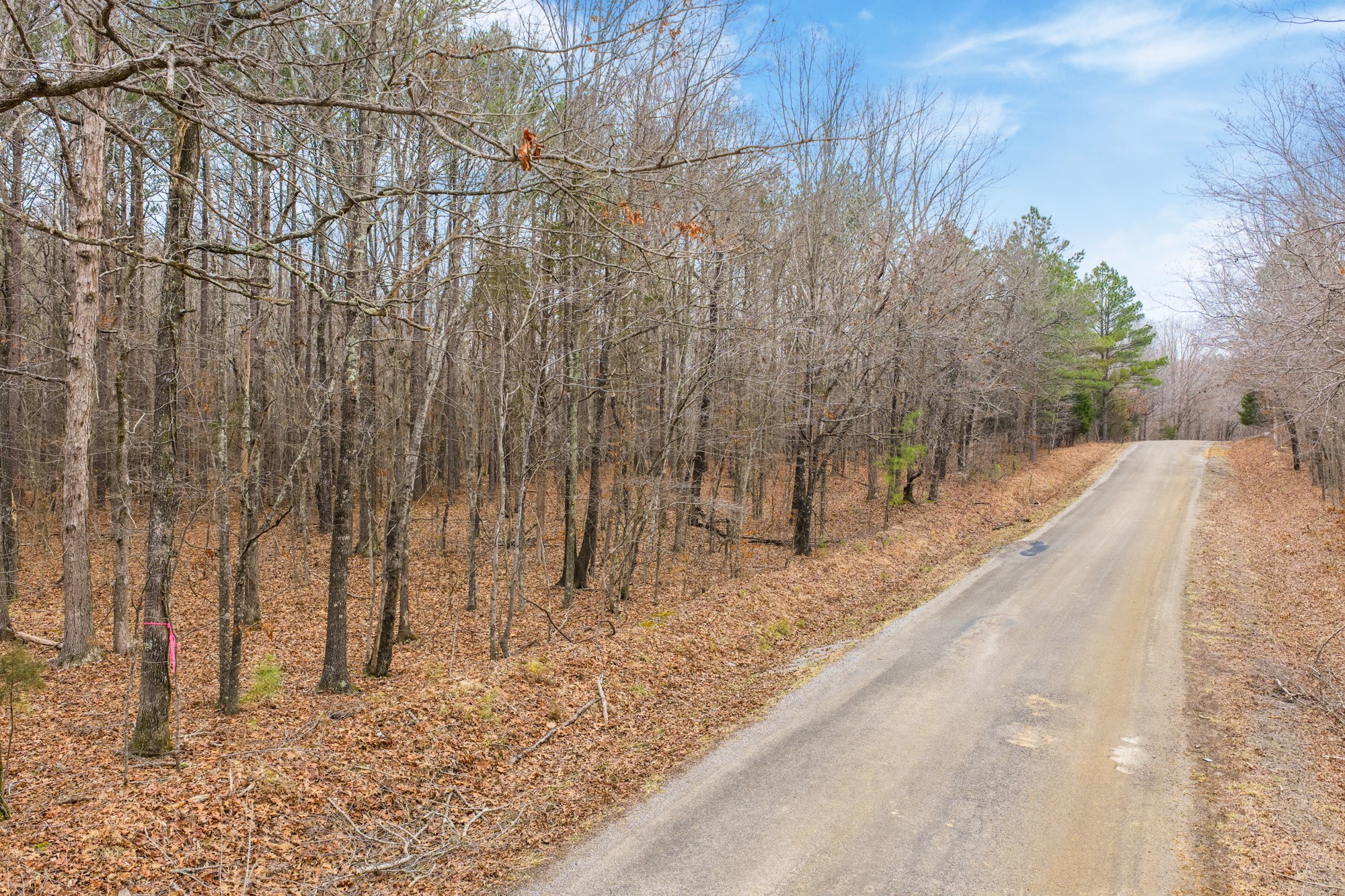 0 Coxburg Road South Holladay, TN 38341 - Photo 5 of 16 a view of a backyard of the house