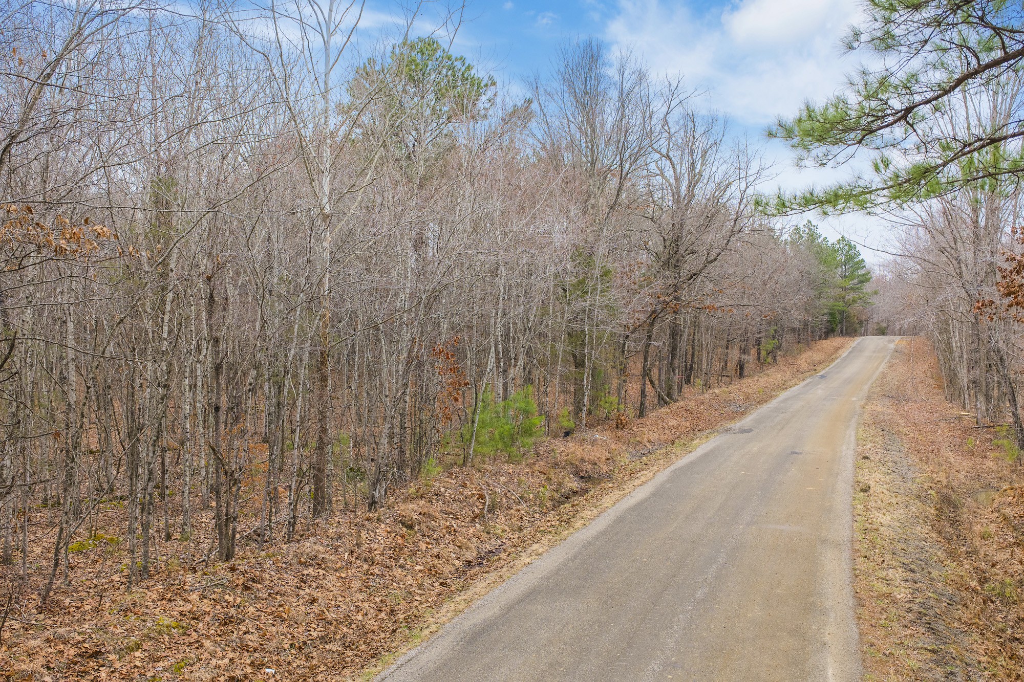 0 Coxburg Road South Holladay, TN 38341 - Photo 6 of 16 a view of a backyard