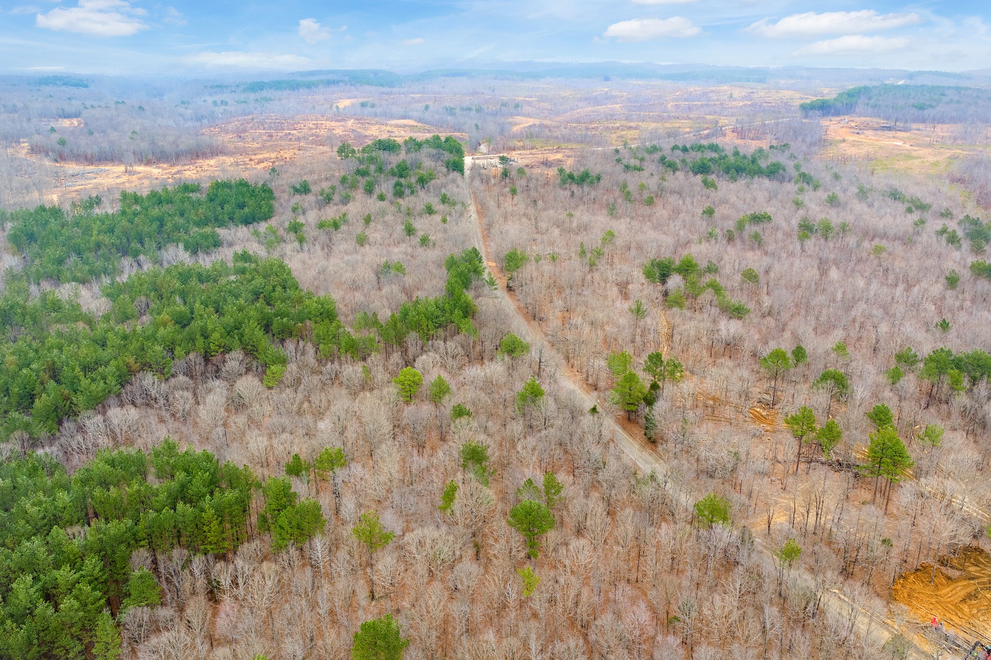 0 Coxburg Road South Holladay, TN 38341 - Photo 7 of 16 a view of a yard with a yard