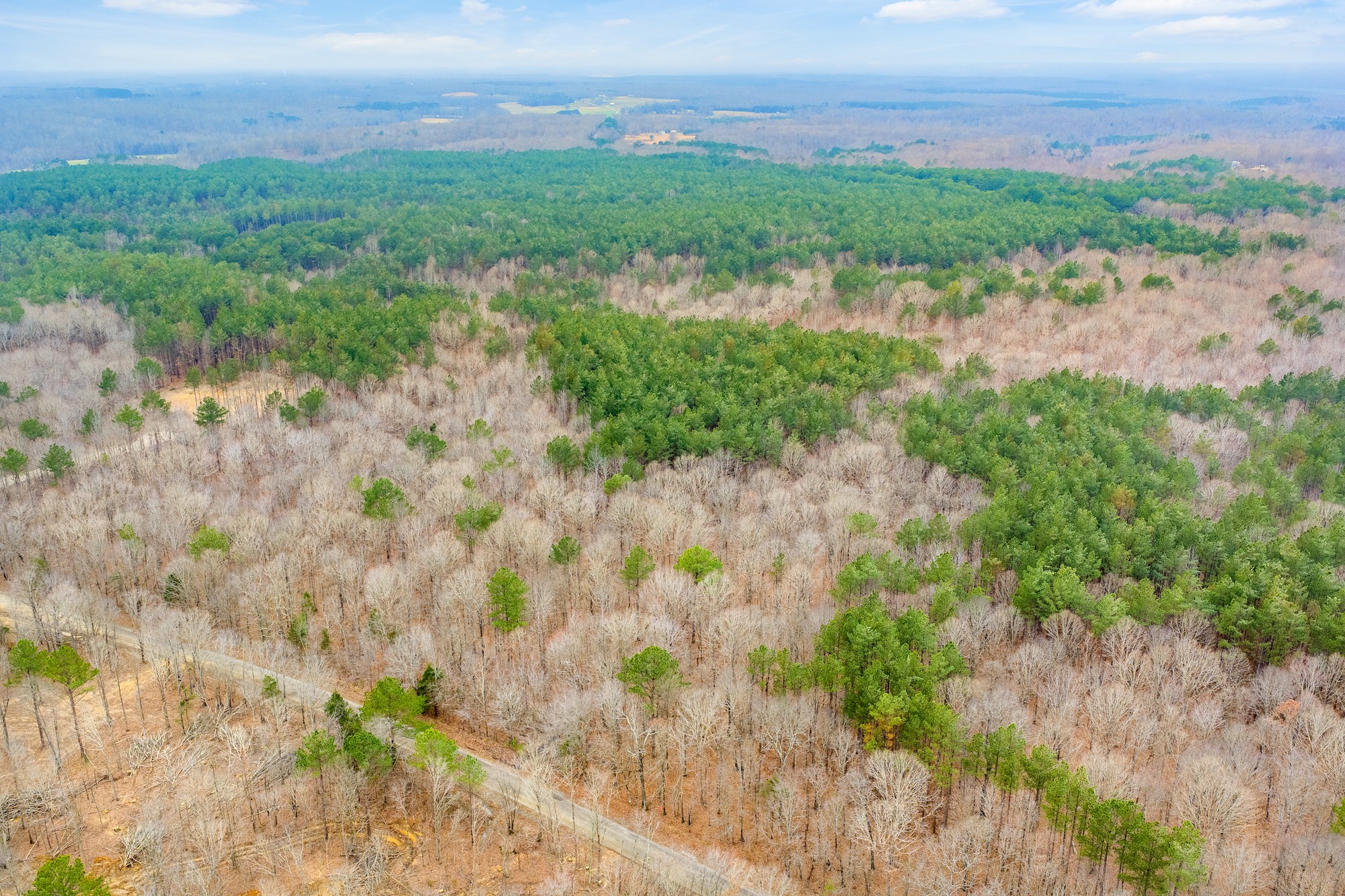 0 Coxburg Road South Holladay, TN 38341 - Photo 9 of 16 a view of a lake with a city