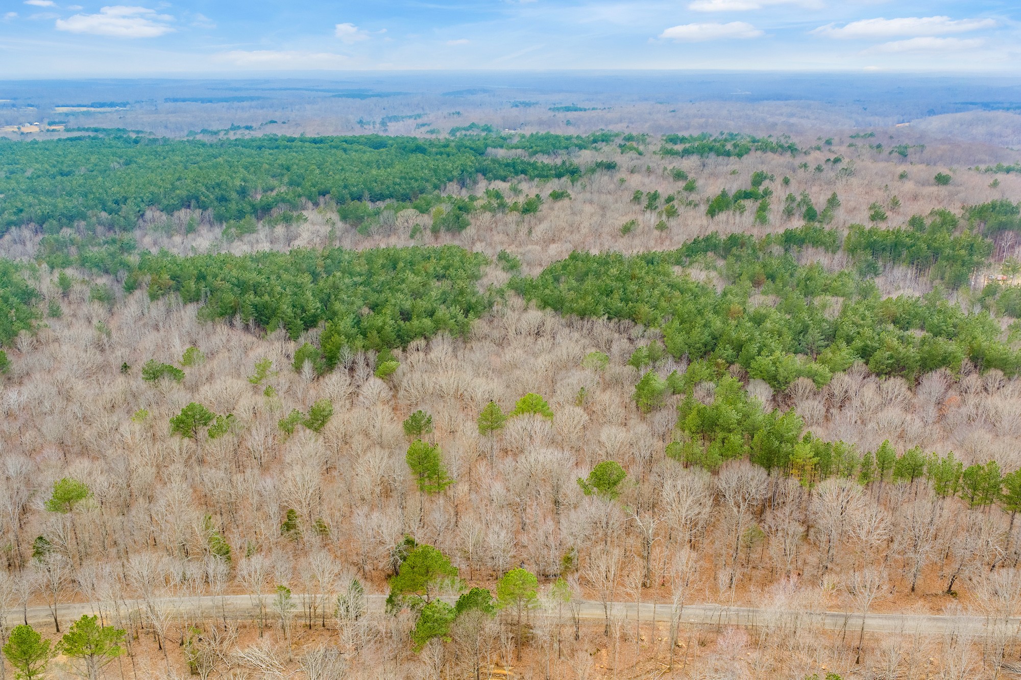 0 Coxburg Road South Holladay, TN 38341 - Photo 10 of 16 a view of a yard with a garden