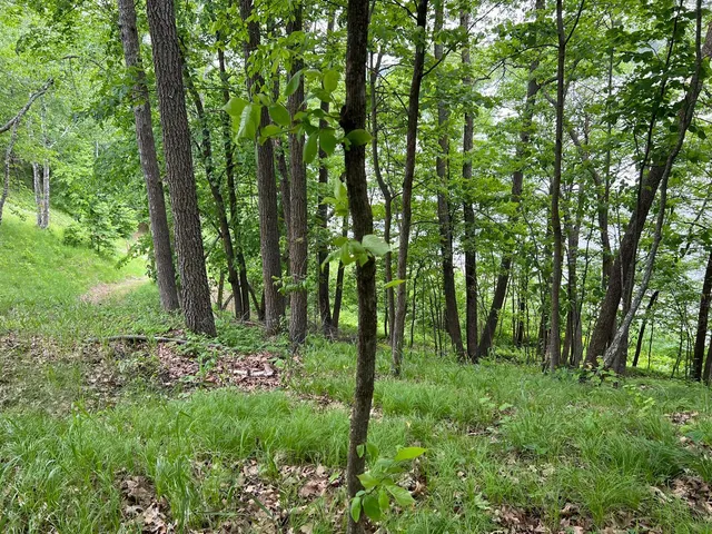 $242,884 | 5585 Woods Bay Drive Northeast, Outing, MN 56662