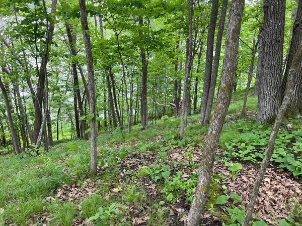 $234,884 | 5585 Woods Bay Drive Northeast, Outing, MN 56662