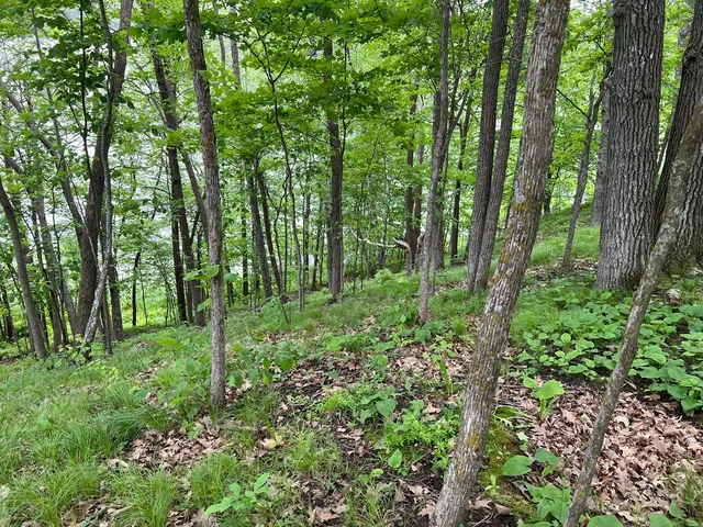 $242,884 | 5585 Woods Bay Drive Northeast, Outing, MN 56662