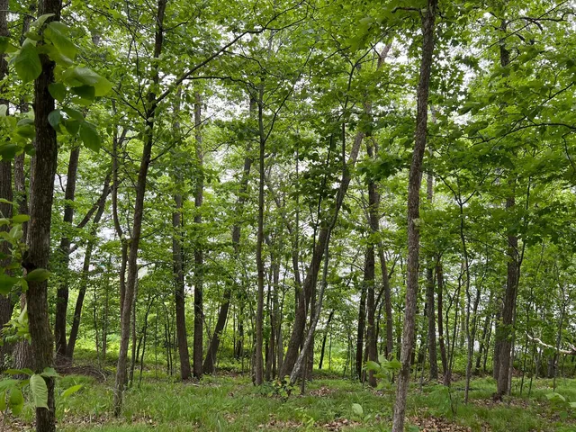 $242,884 | 5585 Woods Bay Drive Northeast, Outing, MN 56662