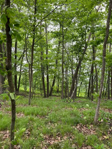 $242,884 | 5585 Woods Bay Drive Northeast, Outing, MN 56662