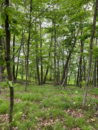 $234,884 | 5585 Woods Bay Drive Northeast, Outing, MN 56662