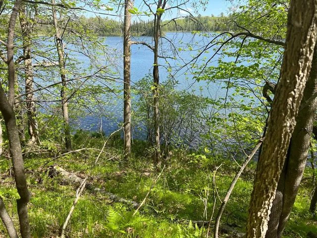 $242,884 | 5585 Woods Bay Drive Northeast, Outing, MN 56662