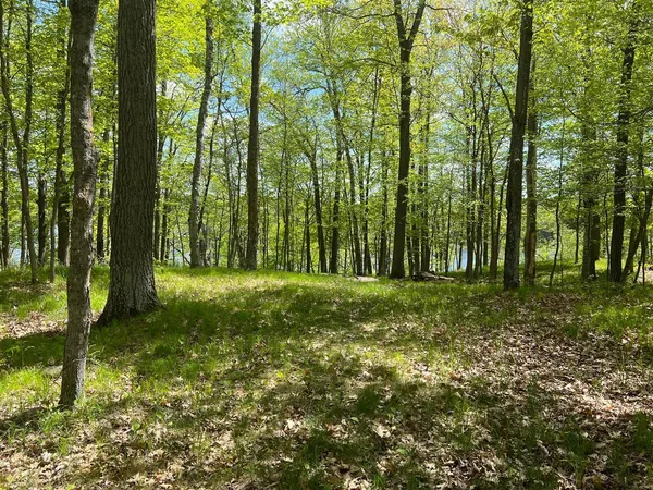 $234,884 | 5585 Woods Bay Drive Northeast, Outing, MN 56662