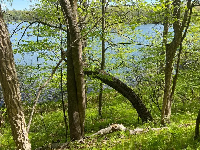 $242,884 | 5585 Woods Bay Drive Northeast, Outing, MN 56662