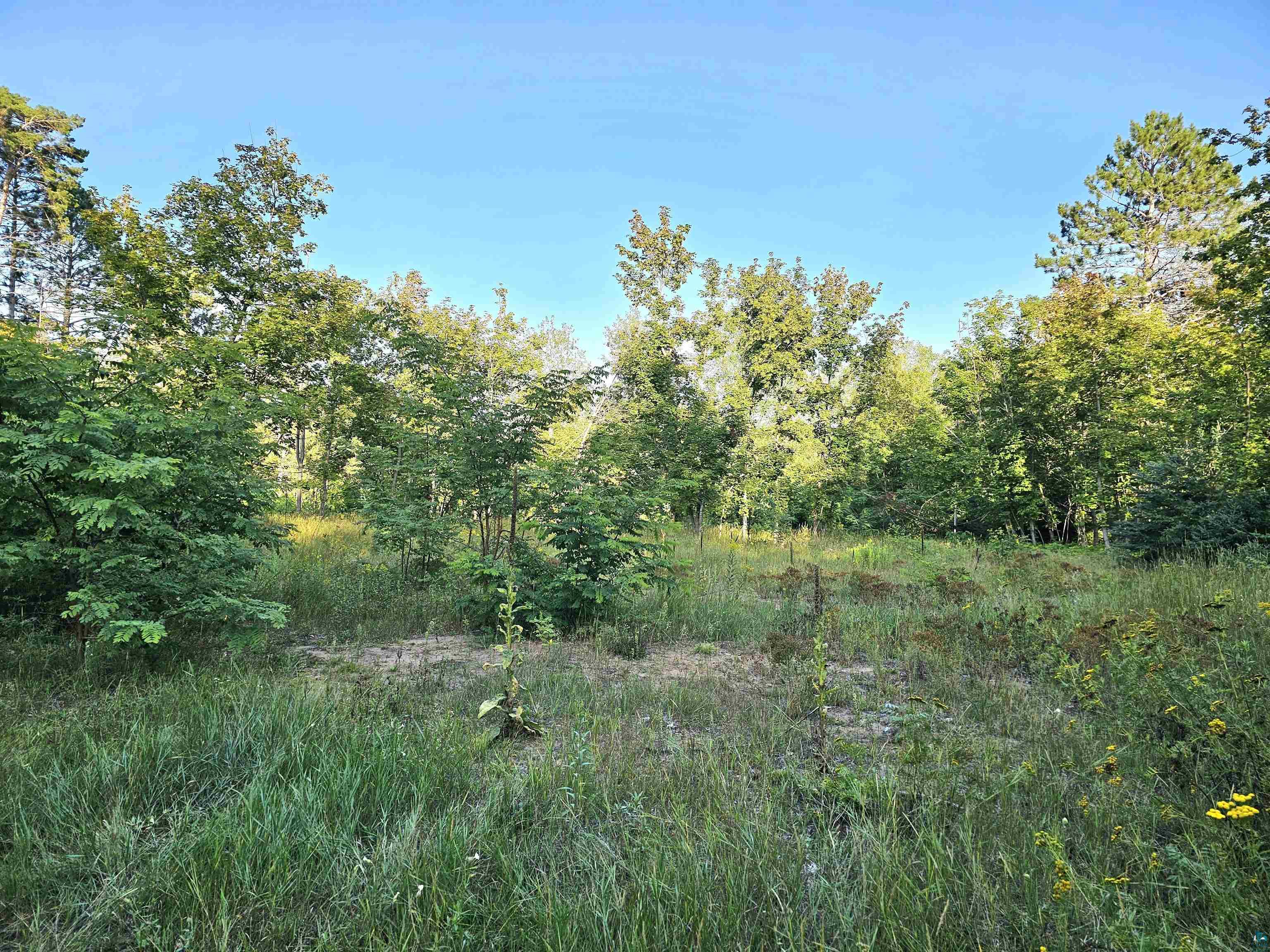 30605 Wannebo Road Washburn, WI 54891 - Photo 4 of 7 Gallery Image 4