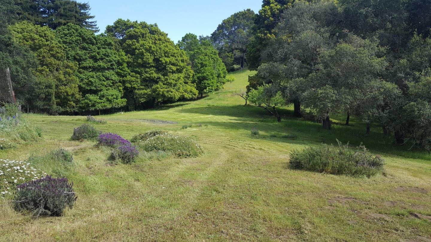 895 Rider Ridge Road Santa Cruz, CA 95065 - Photo 45 of 46 a big yard with lots of green space and deers