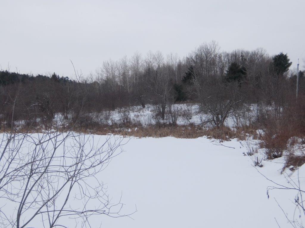 150 Fields Pond Road Holden, ME 04429 - Photo 14 of 28 DSCF7779