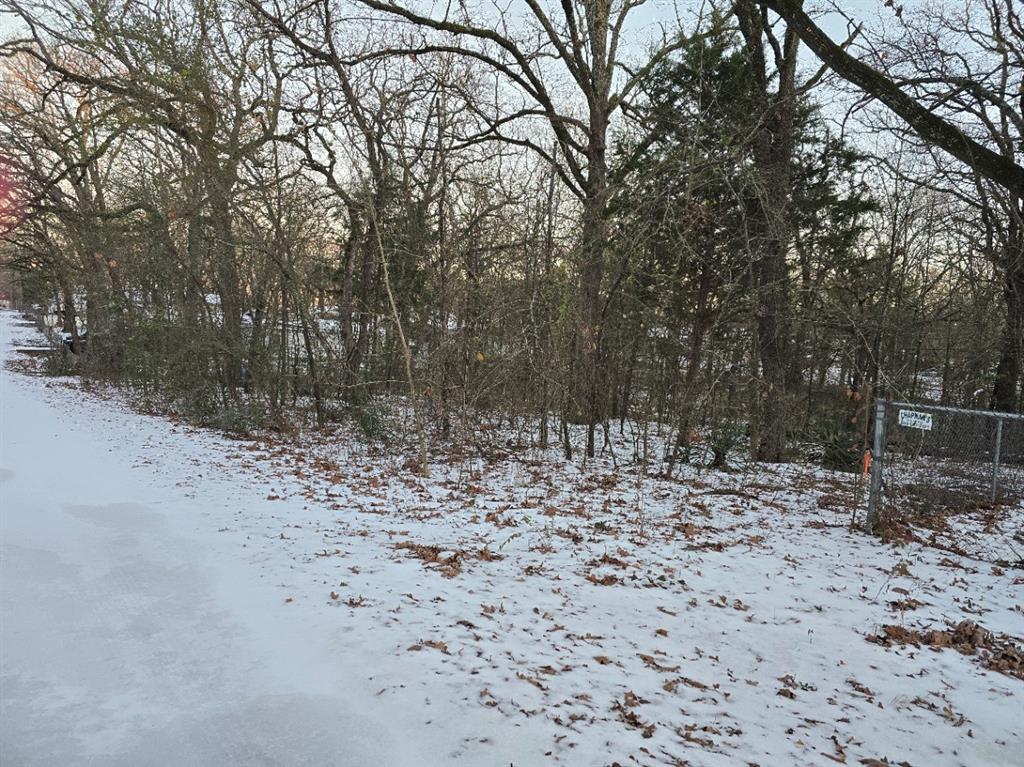 750-754 Doe Run Road Gun Barrel City, TX 75156 - Photo 3 of 5 a view of a dry yard with trees