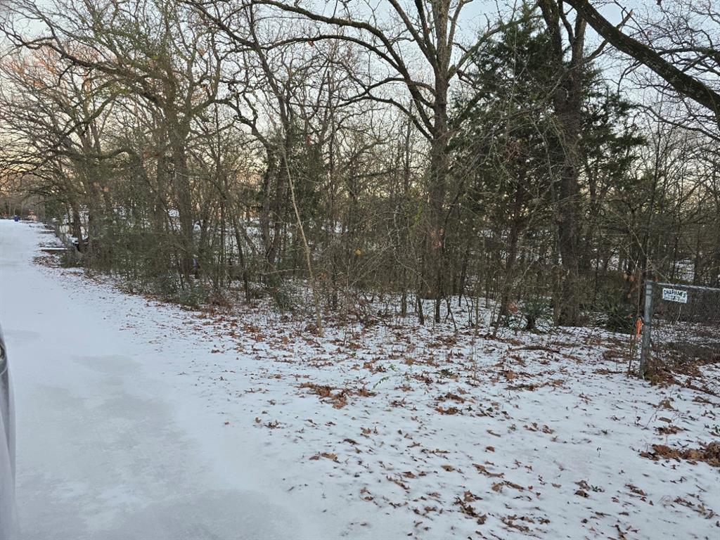 750-754 Doe Run Road Gun Barrel City, TX 75156 - Photo 5 of 5 a view of a yard with trees