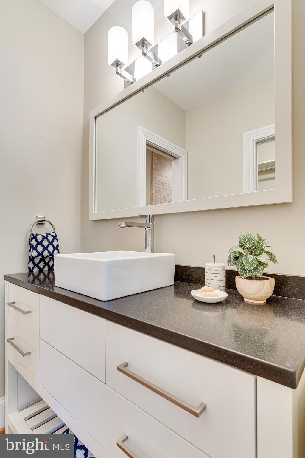 139 12th Street Northeast Washington, DC 20002 - Photo 33 of 50 a kitchen with a sink a potted plant and cabinets