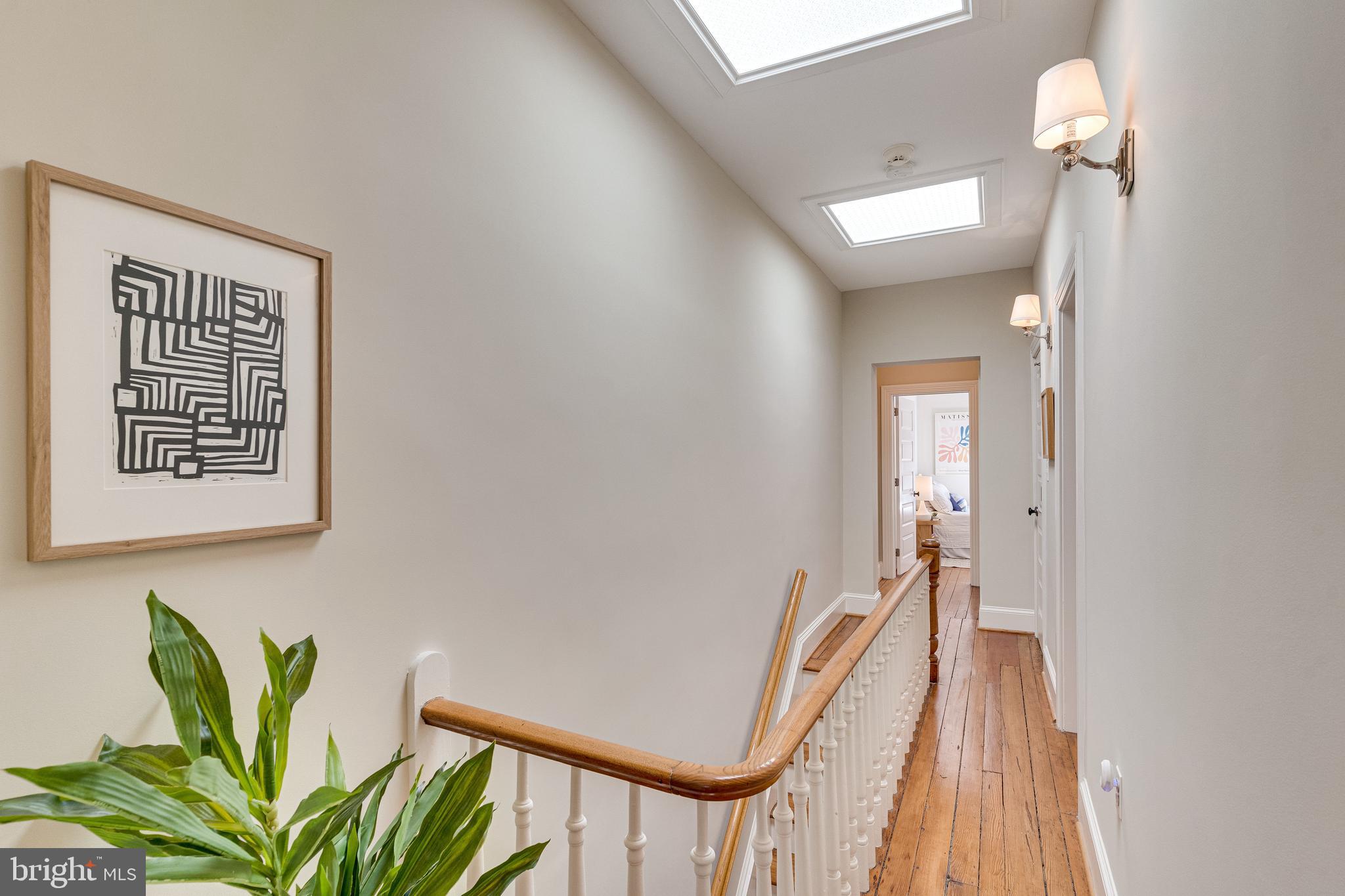 139 12th Street Northeast Washington, DC 20002 - Photo 40 of 50 a view of a hallway with wooden floor and a potted plant