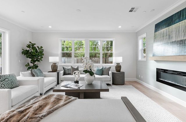 a living room with furniture potted plant and a fireplace
