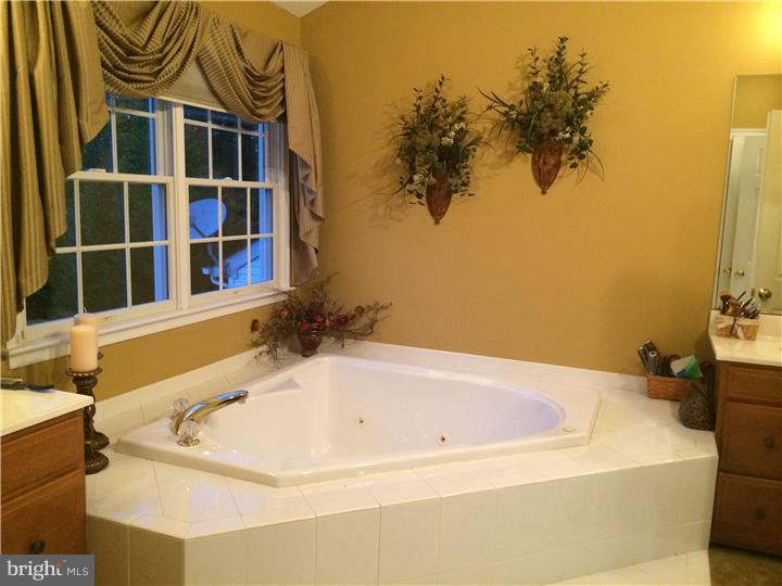 3682 Hancock Lane Doylestown, PA 18902 - Photo 12 of 25 Master Bathroom