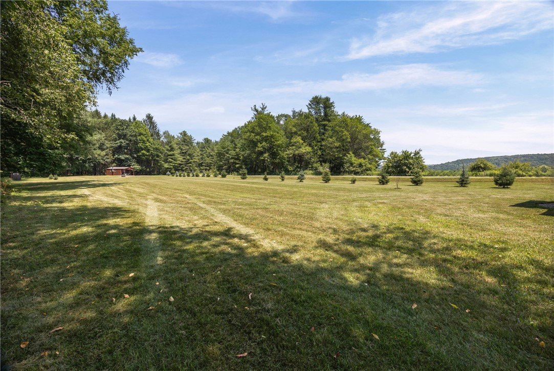 8339 Middle Road Angelica, NY 14709 - Photo 19 of 28