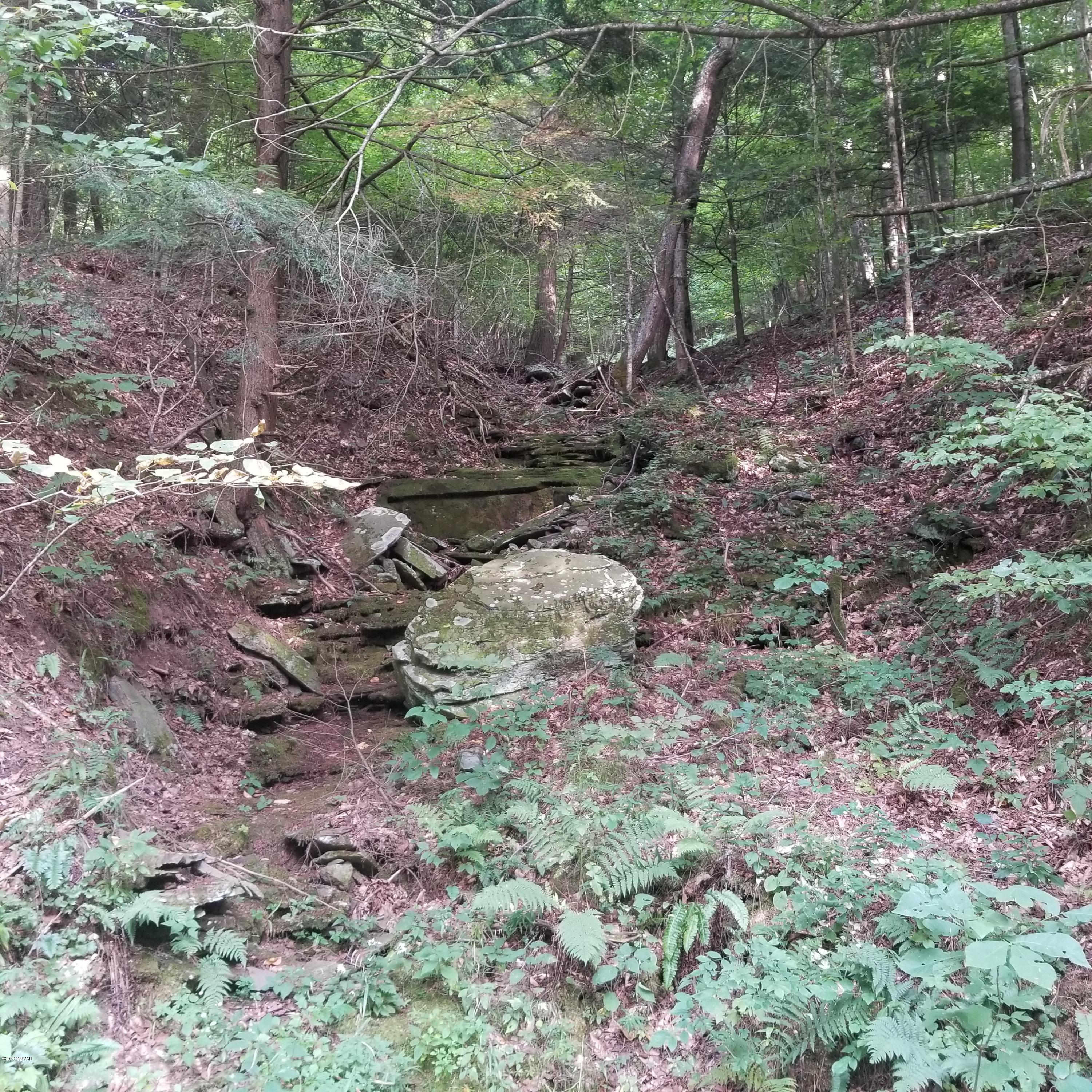 Molyneux Hill Road Dushore, PA 18614 - Photo 29 of 30 Gallery Image 29