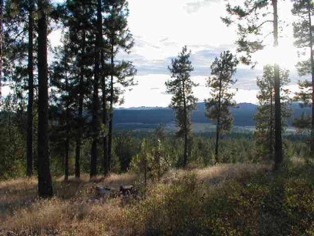 Tbd West Jump Off Joe Road Valley, WA 99181 - Photo 1 of 9