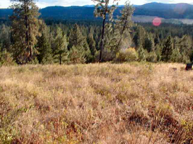 Tbd West Jump Off Joe Road Valley, WA 99181 - Photo 3 of 9