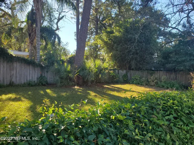 a view of a backyard with a large tree