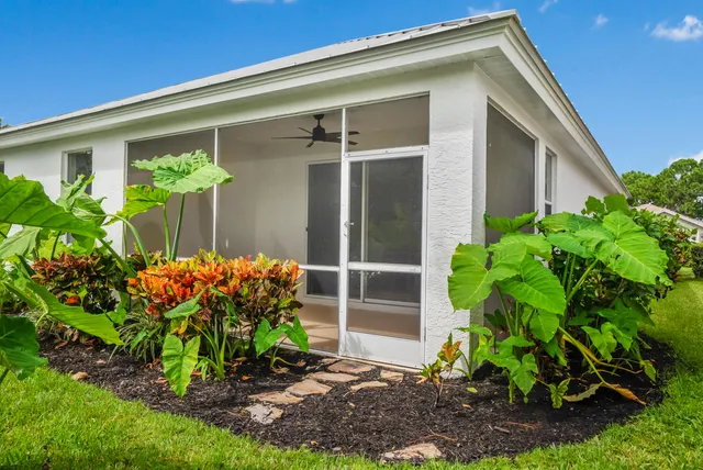 a plant is in front of a house