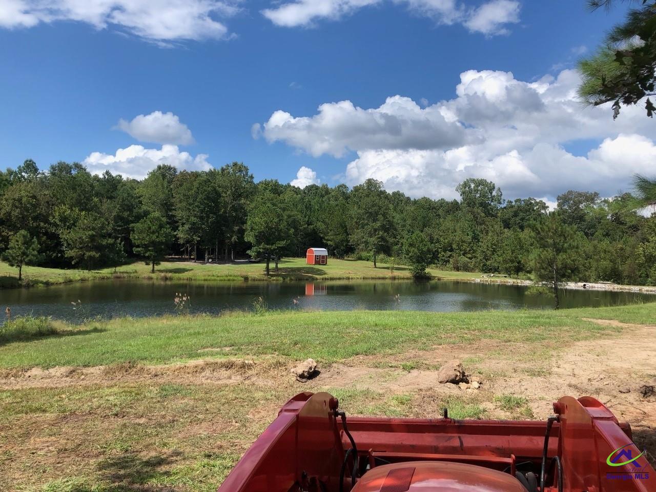 0 County Line Road Elko, GA 31025 - Photo 11 of 12